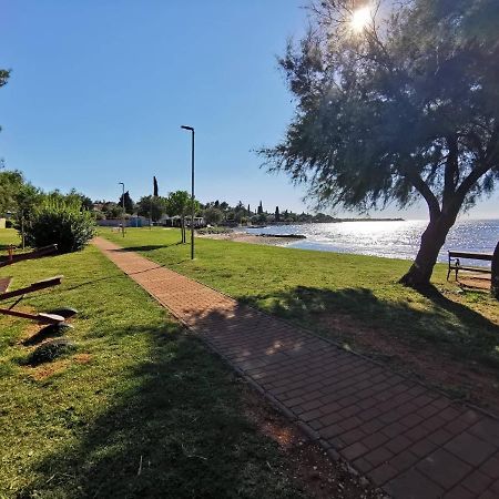 App Katerina Apartment Novigrad  Bagian luar foto