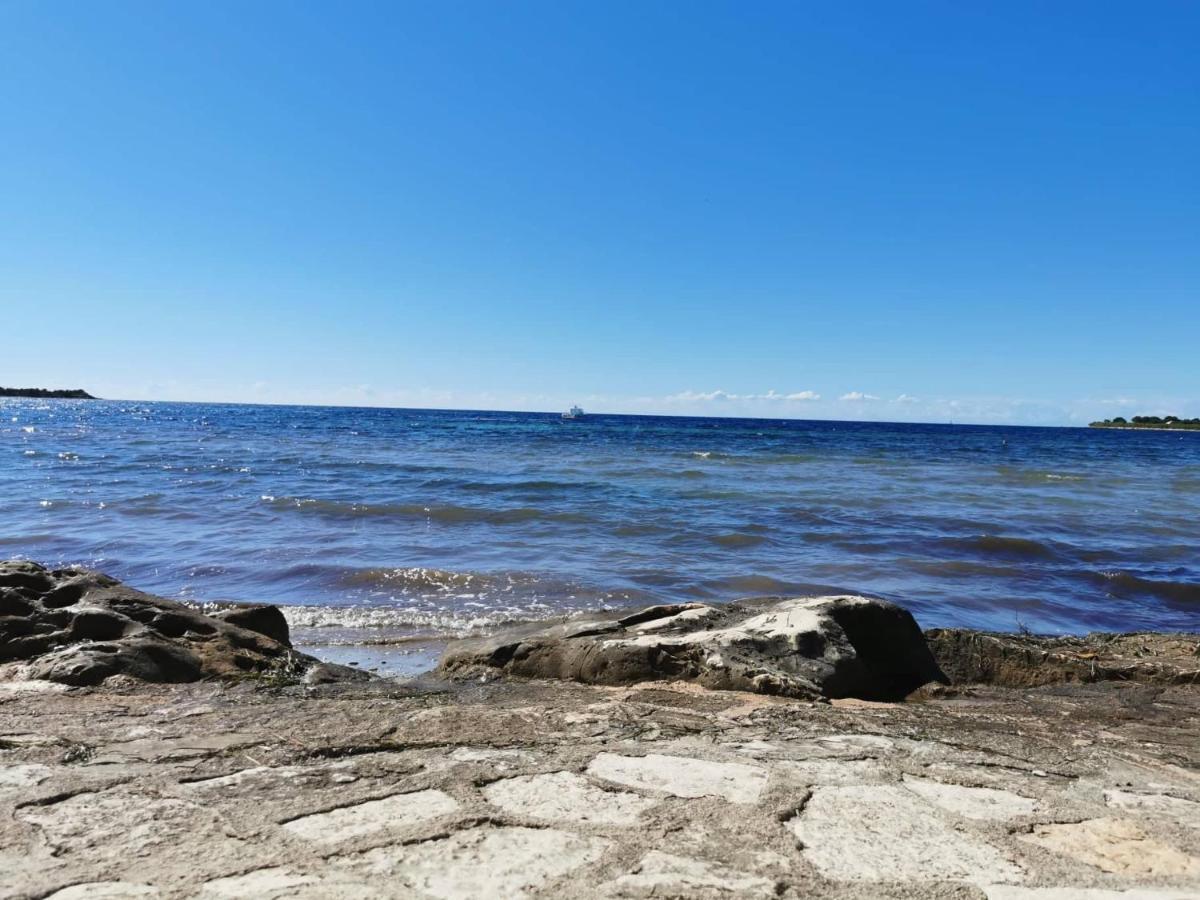 App Katerina Apartment Novigrad  Bagian luar foto