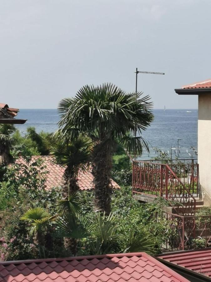 App Katerina Apartment Novigrad  Bagian luar foto