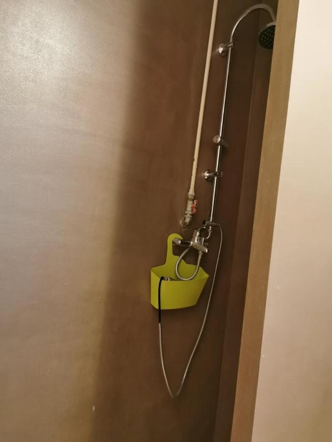 App Katerina Apartment Novigrad  Bagian luar foto