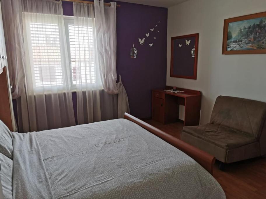 App Katerina Apartment Novigrad  Bagian luar foto