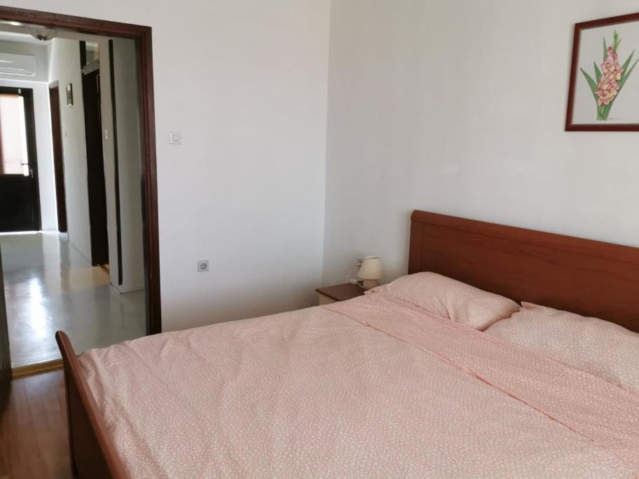 App Katerina Apartment Novigrad  Bagian luar foto