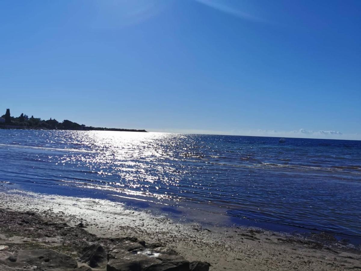 App Katerina Apartment Novigrad  Bagian luar foto