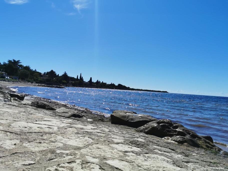 App Katerina Apartment Novigrad  Bagian luar foto