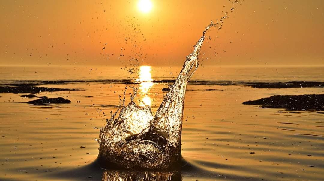 App Katerina Apartment Novigrad  Bagian luar foto