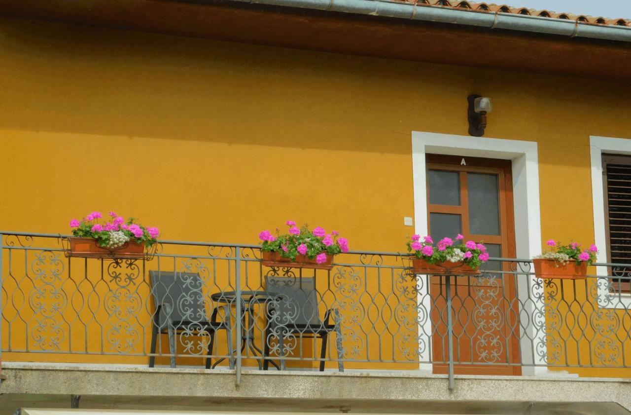 App Katerina Apartment Novigrad  Bagian luar foto