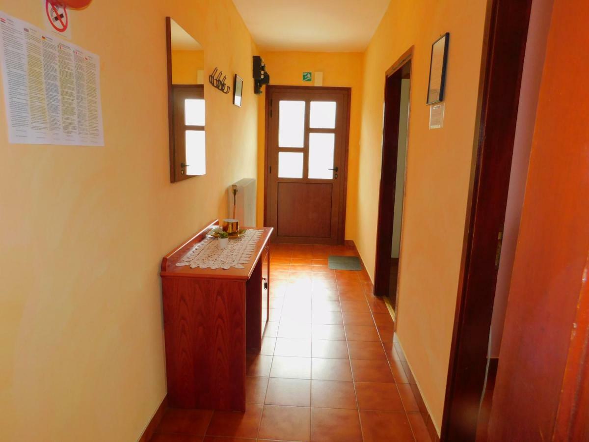 App Katerina Apartment Novigrad  Bagian luar foto